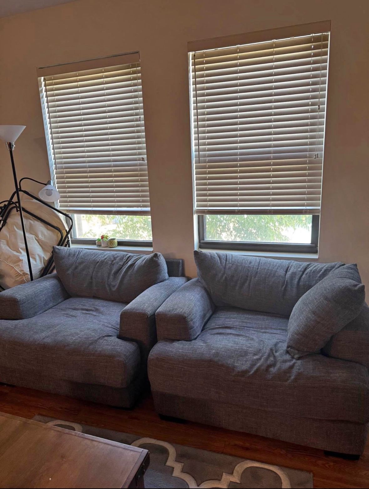 Comfy Loveseats