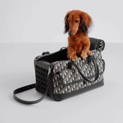 Dior Pet Carrier