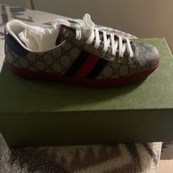 Gucci Shoes 