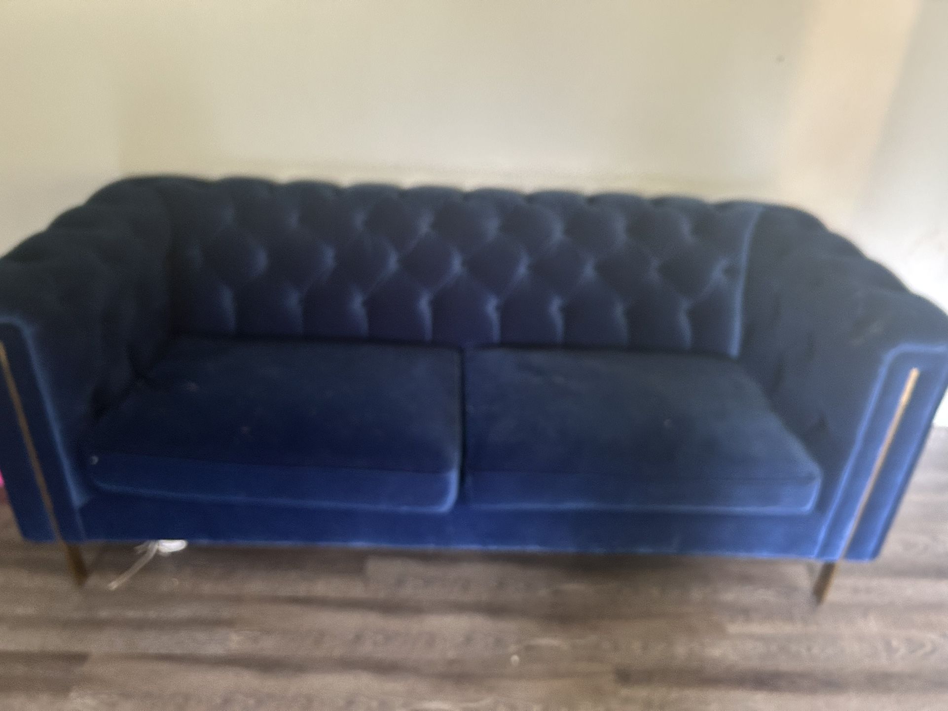 Velvet blue couch