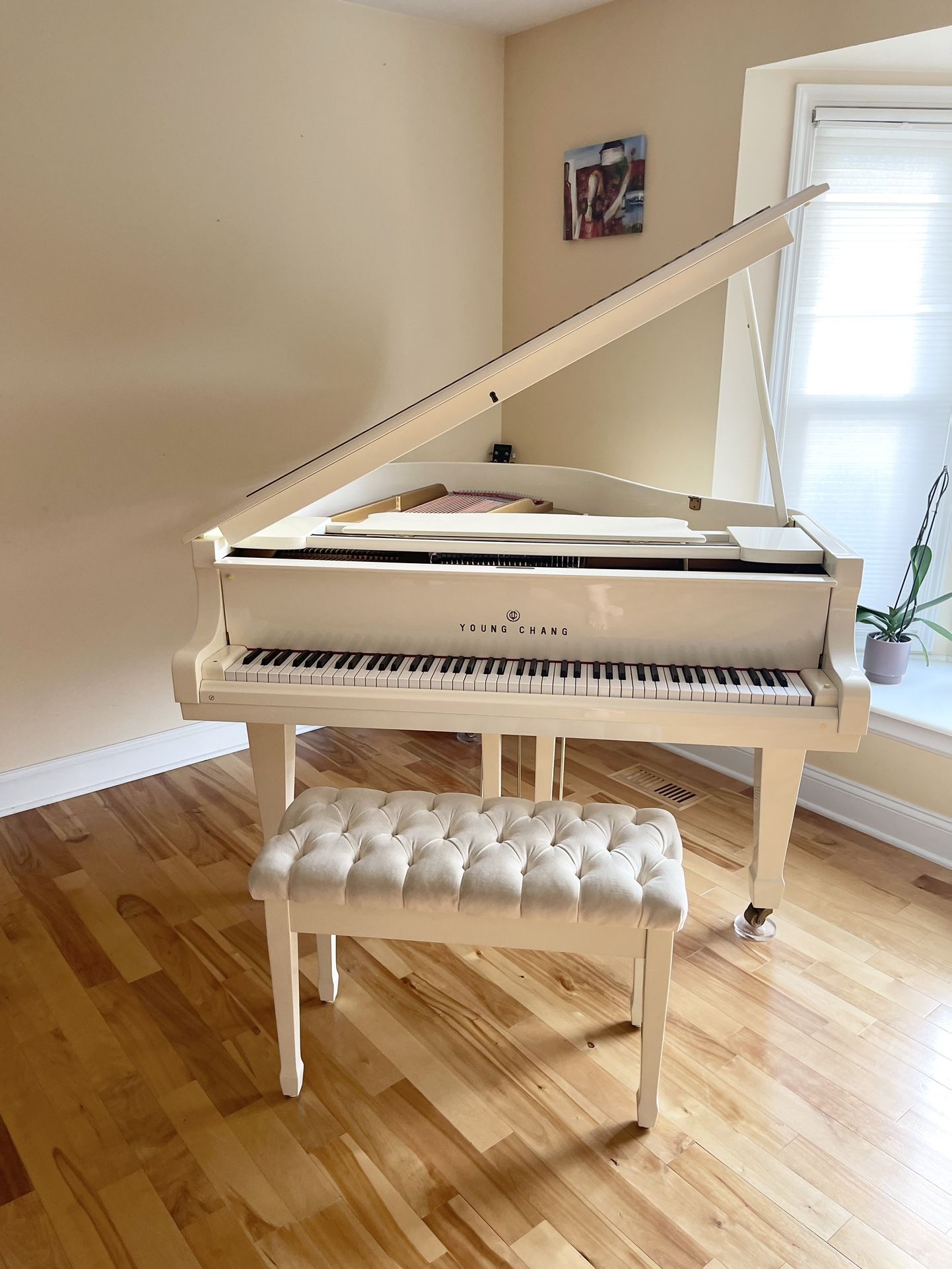 Baby Grand Piano with bench- Young Chang