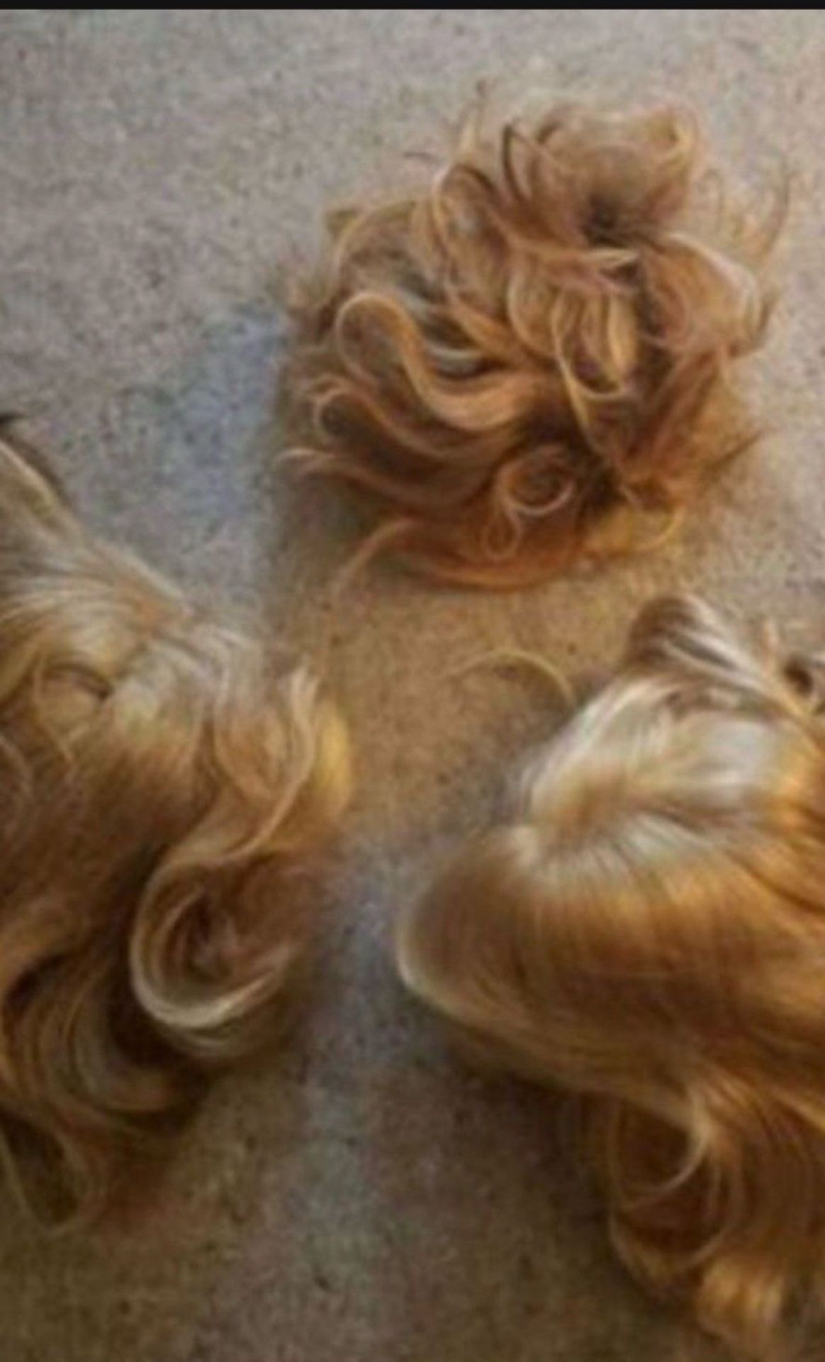 Wigs, good deal on wigs