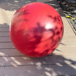 Stability Exercise Ball