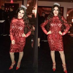 Sequin red mesh dress 