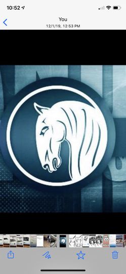 Caballo español para maquila