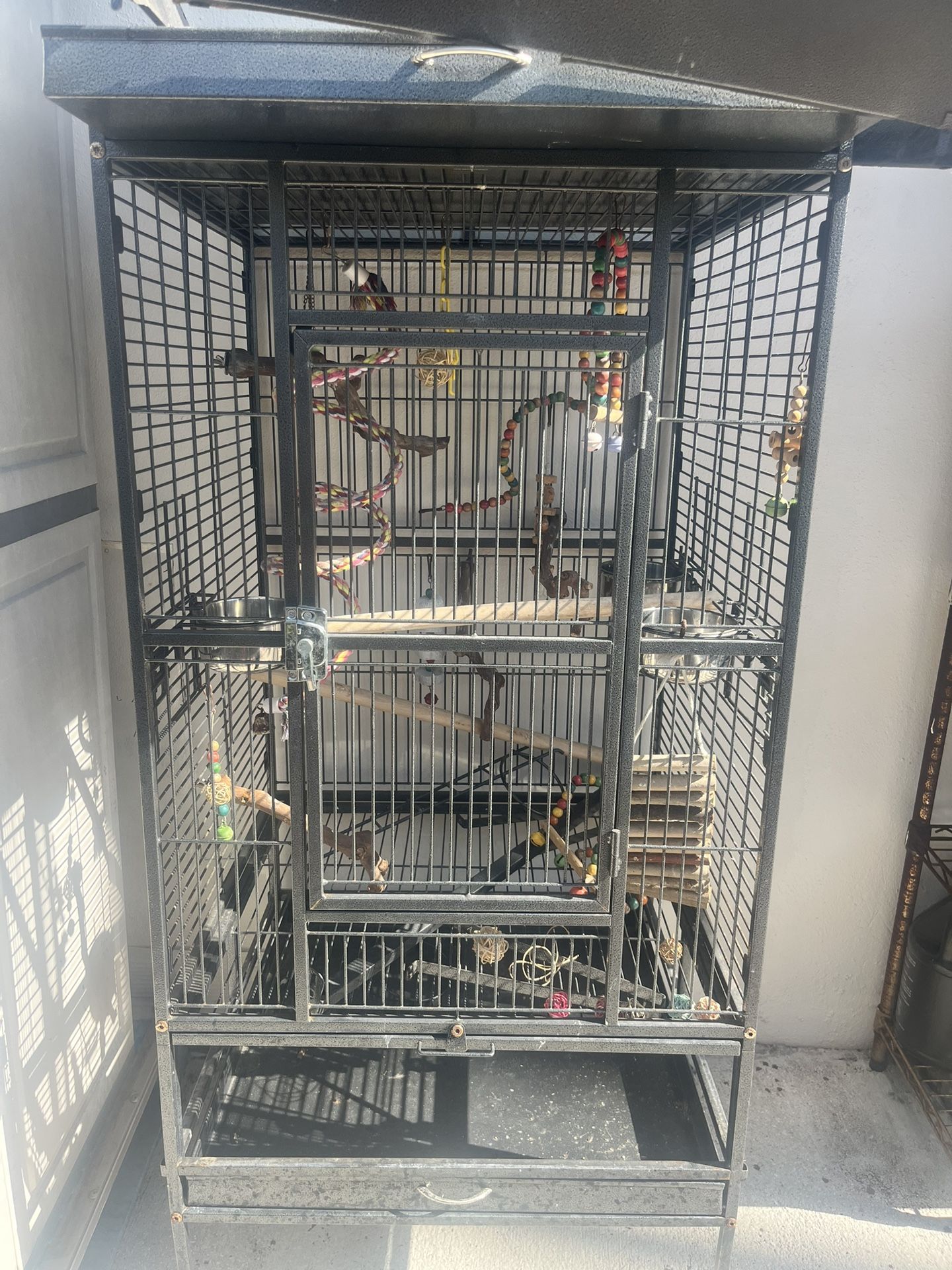 Parrot Cage