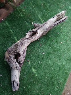 Driftwood For Aquariums Terrariums Decor