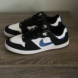 Nike SB Alleyoop 