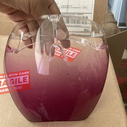 Brand New Face Shield Clear And Violet