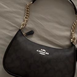 Coach Mini Teri Bag - Brown (USED)