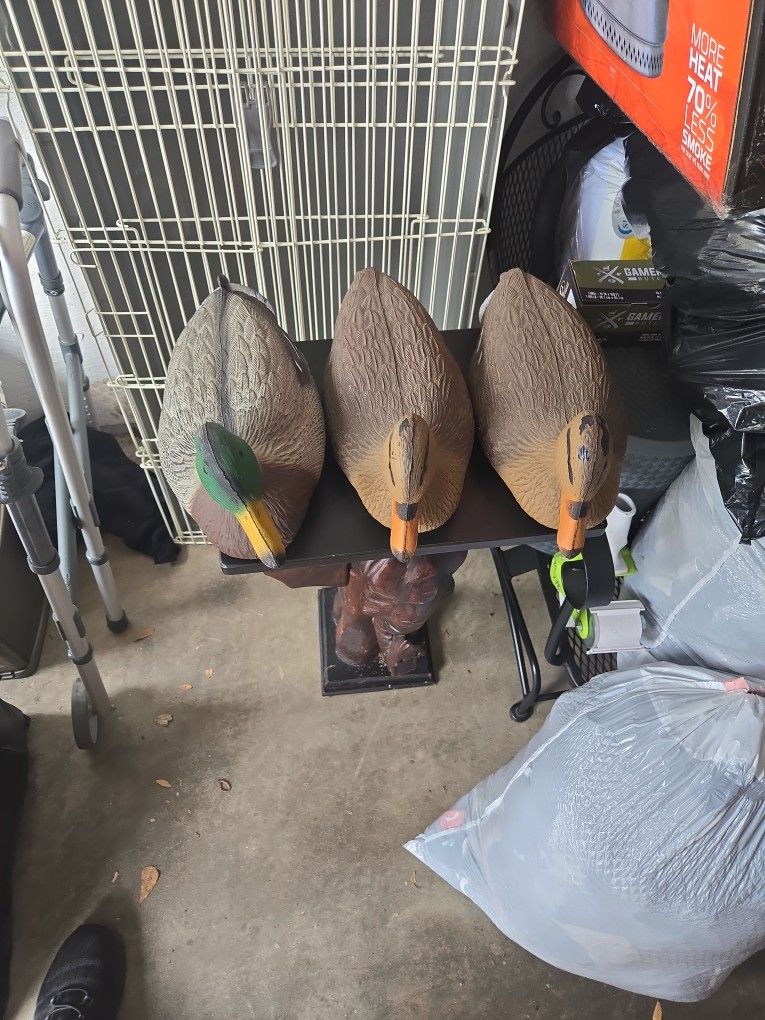 Decoy Ducks