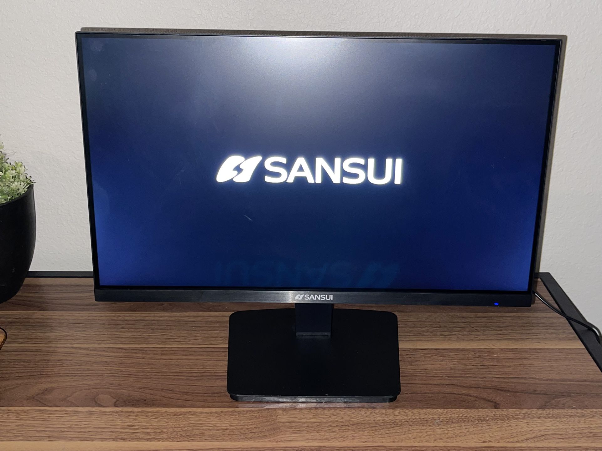 Computer Monitor