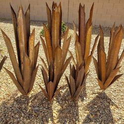New .. 4FT. AGAVE 
Garden Agave Plants ..(Will rust)

Approx.
4ft 1" Agave 
$129.95 ea.

Approx.
3ft.5" Agave  $120.00

Approx.
2ft.1" Agave 

$75.00 