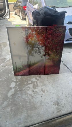 3 Piece Picture Frames