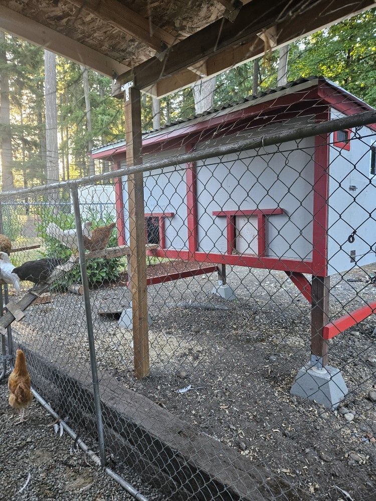 Chicken Coop Kit