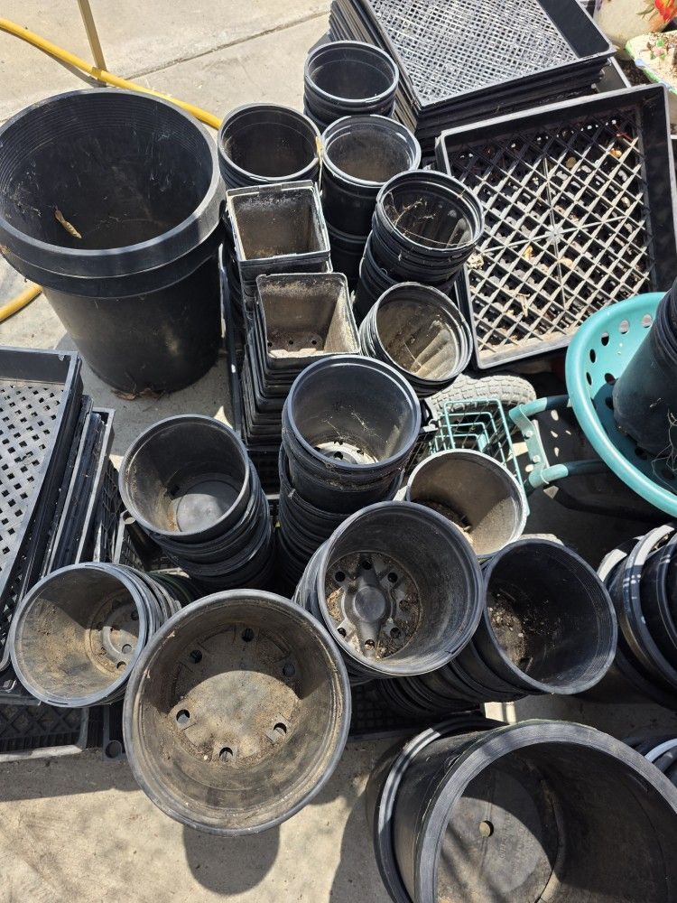 Plant Plastic Nursery 1 Gallon Pots