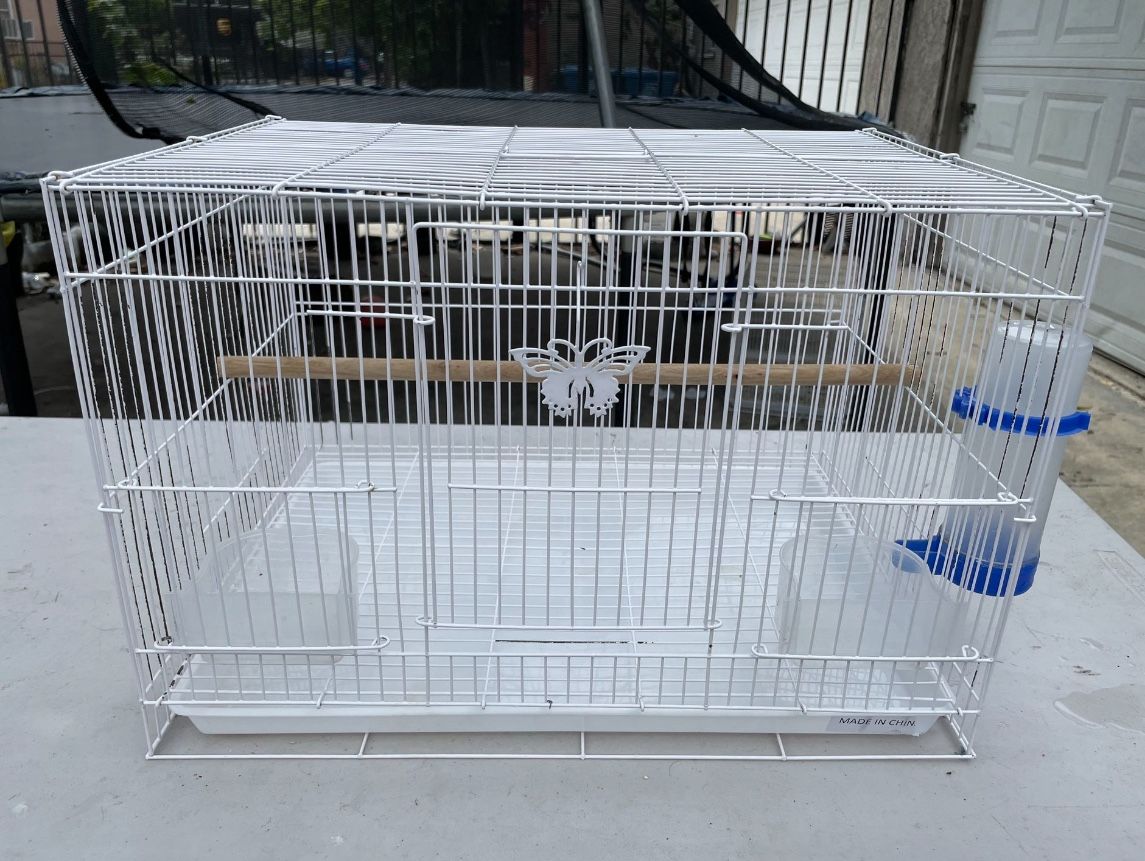 Bird Cage