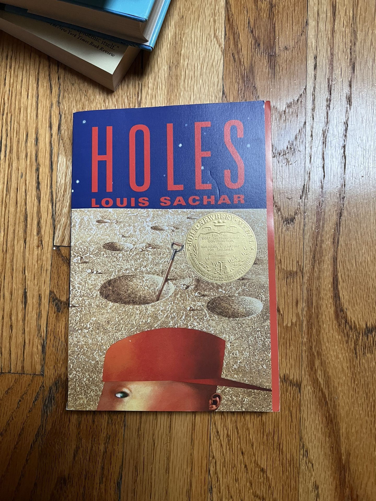 Holes book by Louis Sachar