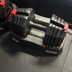 Weider Adjustable Dumbells