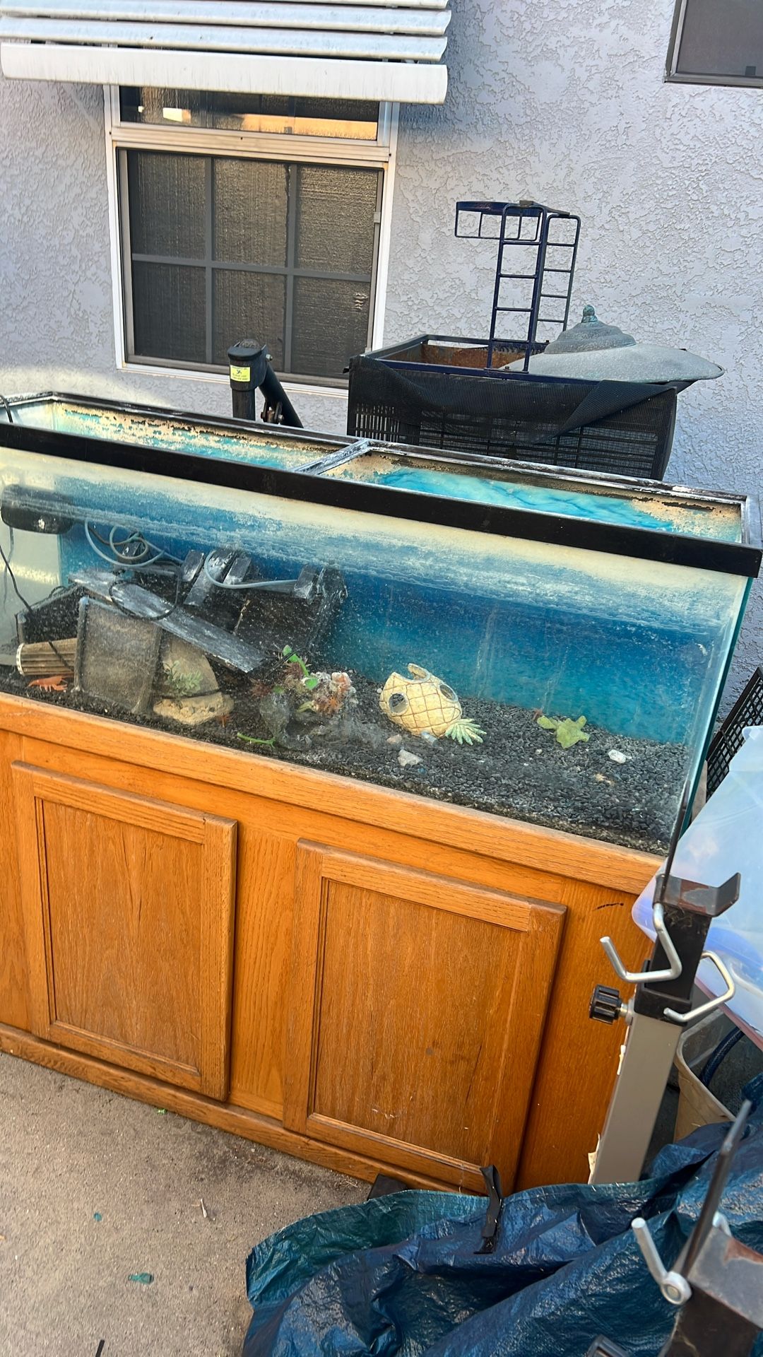 Fish tank