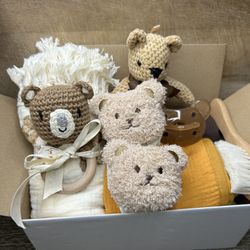Newborn Teddy Bear Box 
