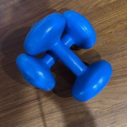 5 Lb Dumbell