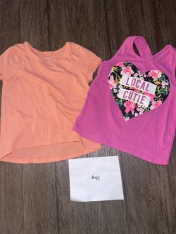 Bundle 48: Toddler Girls Shirts 2T