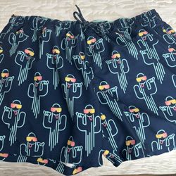Swim Trunks 