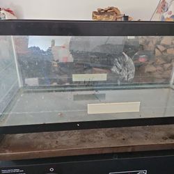 Fish Tank 22 Gallon 