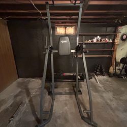 Dip , leg raises Machine 