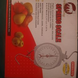 Weight Scale 