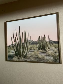 Desert wall picture