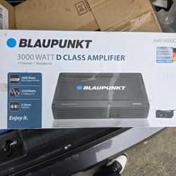 Bass Amp 3000 Watt
