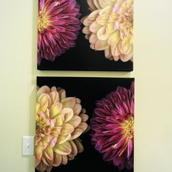 Flower Wall Art