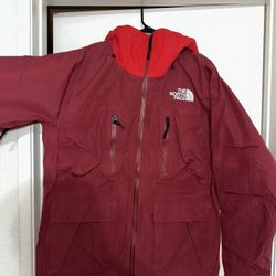 The north Face Snow Jacket