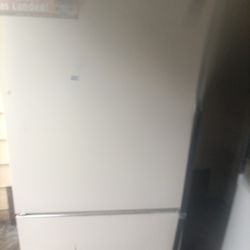 Fridge And Freezer