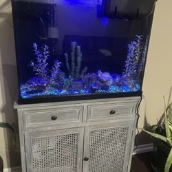 20 Gallon Fish Tank And Stand