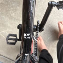 Stolen Brand Casino XL BMX Bike