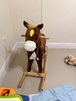 Horse In Great Condition