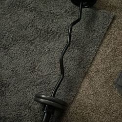Olympic Curl Bar