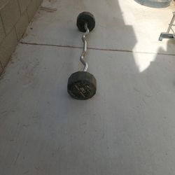 80 Lbs Curl Bar