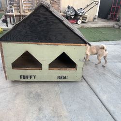 dog house