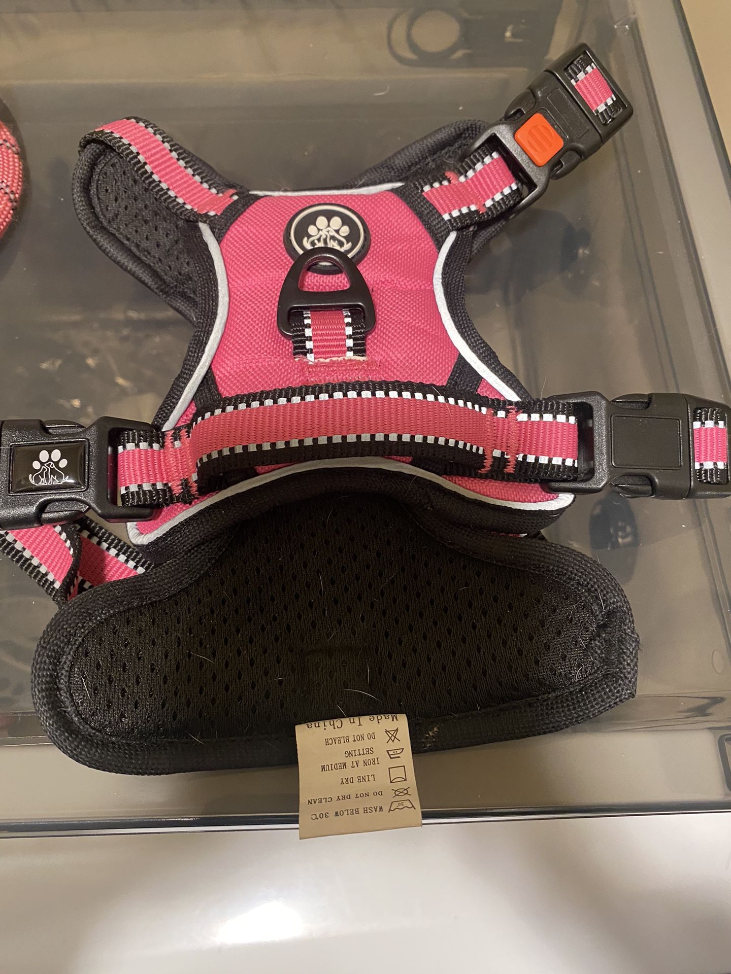 Extra small harness with matching leash