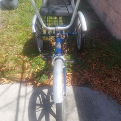 Trailmate EZ Roll Regal