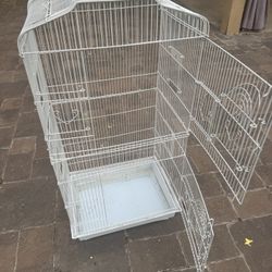 Bird Cage 