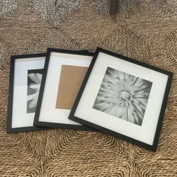Picture Frames 