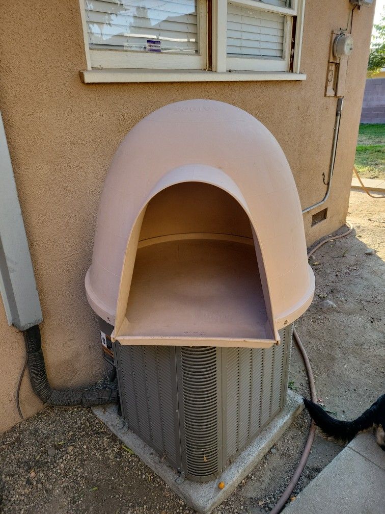 Dog House