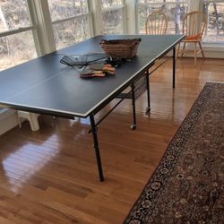 Ping Pong Table 