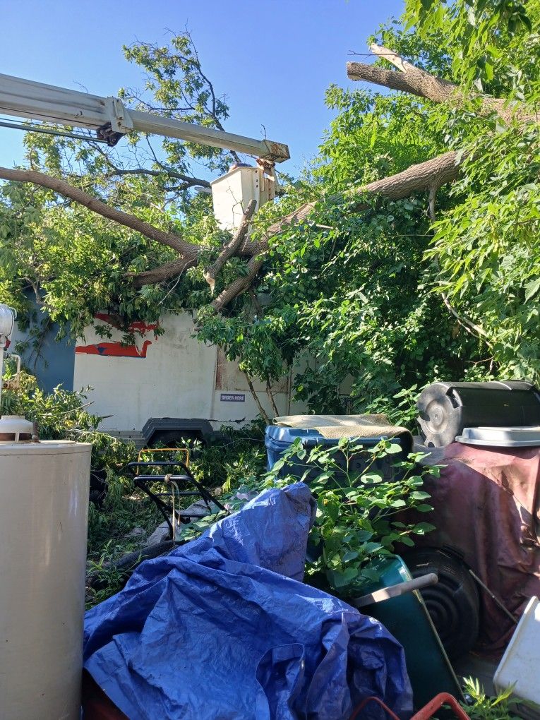 Bucket Truck F450 For Sale