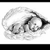 Aracely